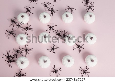  white mini pumpkins aligned symmetrically in rows and columns in the middle of a spider infestation on a pastel pink background. Minimalist, trendy still life photography. 