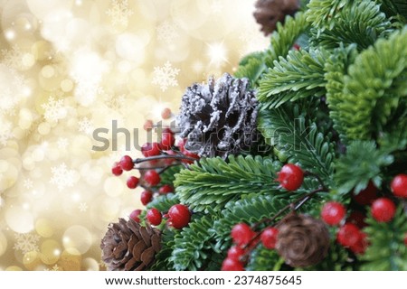 branch-Christmas-tree. Christmas season background. Christmas tree branches.