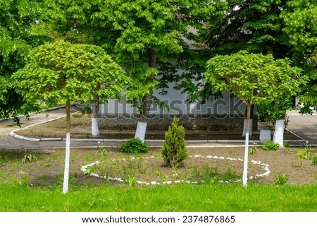 Flowerbed with flowers. Background with selective focus and copy space for text.