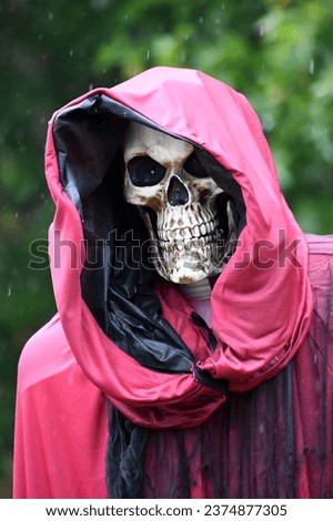 A spooky Halloween skull face cloaked in maroon and black cloth. The background is of multiple shades of green and rain drops can be seen in the picture.