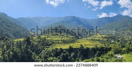 The Green Himalayas of Gangotri