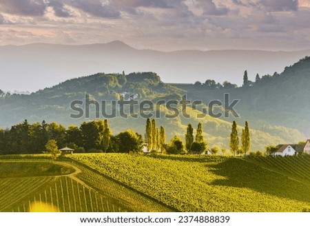 View of European pastoral style architecture and nature from above