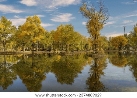 Red orange yellow leaves on forest trees branch on green grass coast at lake water with reflection in autumn sunny day stormy sky clouds light Royalty-Free Stock Photo #2374889029