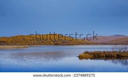Calm late fall day at Kinaskan Lake with ice coated shore driftwood in foreground of autumn colored landscape of northern British Columbia, BC, Canada Royalty-Free Stock Photo #2374889275