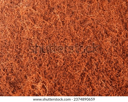 texture background from cocopeat. Cocopeat is a planting medium made from coconut fiber Royalty-Free Stock Photo #2374890659