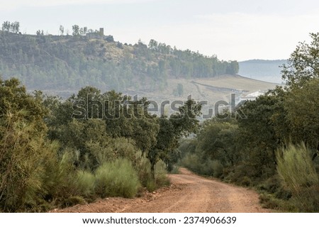 Enchanted Pathway: Dirt Road Amid Lush Vegetation, with Medieval Castle on the Hill in the Background.