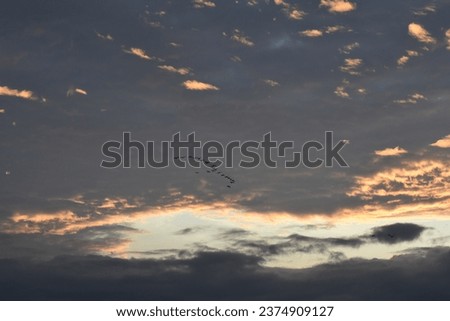 Sunrise sky with group of birds