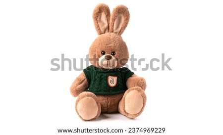 Bunny rabbit toy isolated on white background. High quality photo