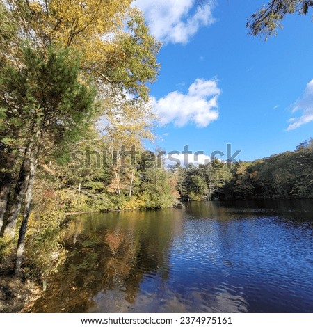 Trees, sky and clouds reflected in a pond, central Massachusetts