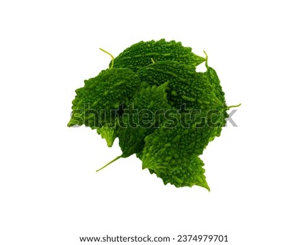JPEG. Balsam Pear Green With A White Background