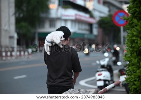 High-quality, free stock photo of A young man carrying his pet for a walk in a big city