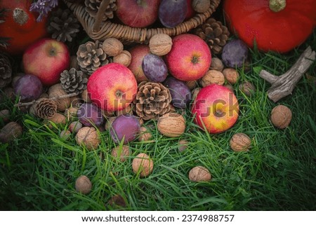 Autumn fruits in the grass: apples, pumpkins, plums, nuts