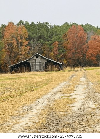 A beautiful old, country barn on a farm in the fall. The trees changing. It’s so colorful. The countryside is a picture perfect view. Rural life is calming.