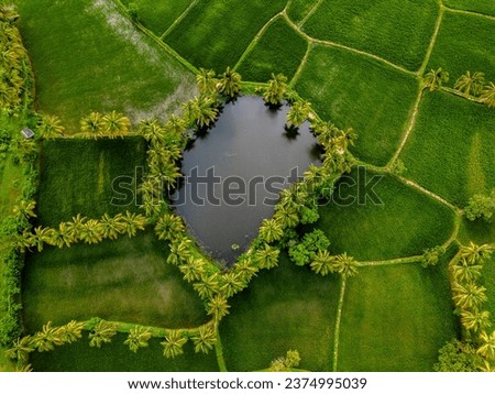 kerala landscapes 
aerial photography
green background
kerala palakkad
nature photography Royalty-Free Stock Photo #2374995039