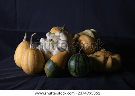 An autumn picture of little colorful picture on a black background.