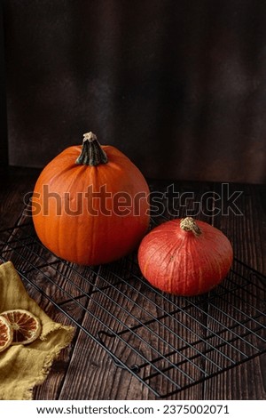 Fresh pumpkins on dark background 