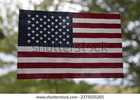 American flag with green backround