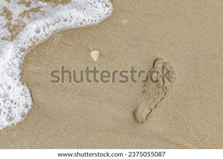 picture of a footprint in the wet sand of a beach for backgrounds