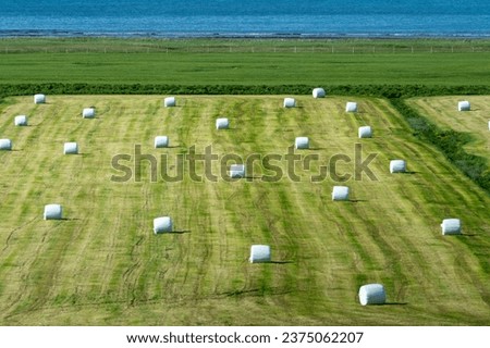 White plastic wrapped hay bales on a farm, in rural Iceland. Westfjords Royalty-Free Stock Photo #2375062207
