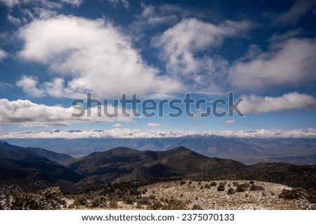 Scenic Views of Ancient Bristlecone Pine Forest