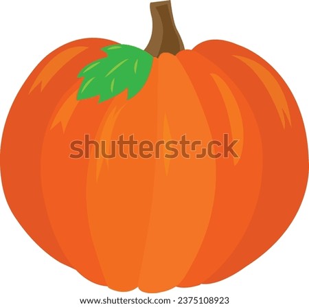 Pumpkin Thanksgiving Vector image or clip art