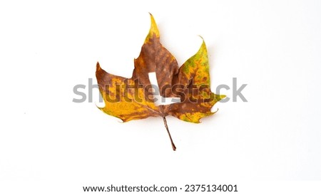 letter l on yellow-brown leaf, autumn Royalty-Free Stock Photo #2375134001
