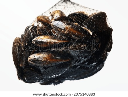 A picture of a net of mussels over white background