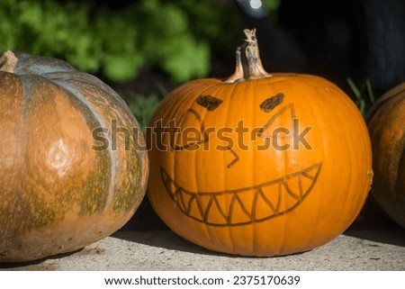 Closeup of scary pumpkins in a public garden