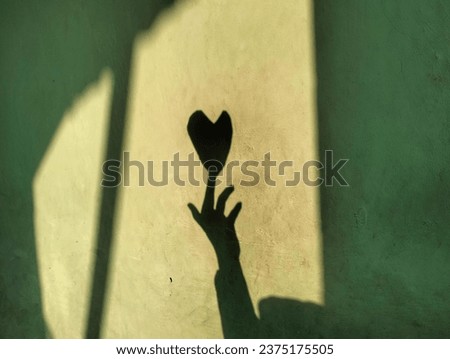 in the afternoon there are beautiful hand shadows