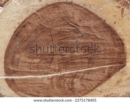 The inside view of the tree is dark and light brown and has been cut down using a chainsaw.
