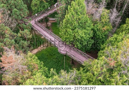Kám, Hungary - Aerial view about the Jeli Arboretum canopy promenade Royalty-Free Stock Photo #2375181297