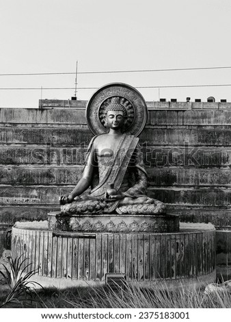 A picture of lord Goutam Buddha 
