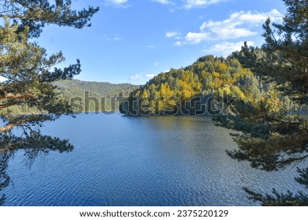 utumn landscape with colorful forest on the shore of a mountain lake, Berovo, Macedonia