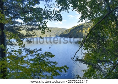 Autumn landscape with forest and Berovo lake in the middle of the forest, Berovo, Macedonia