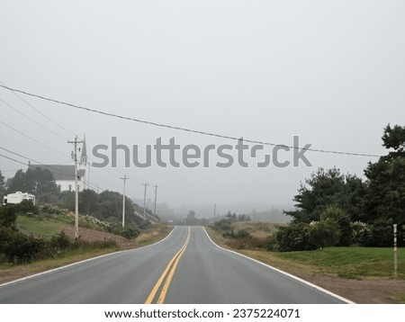 An open highway on an early, foggy summer morning through a rural area.
