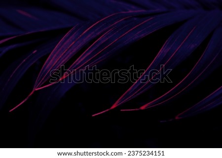 tropical palm leaf background, glow in the dark color toned