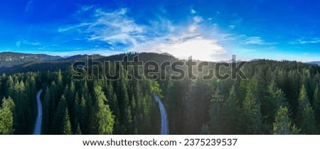 Alpine panorama in autumn with a forest road