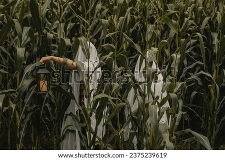Creepy couple disguised as ghost challenge trend with sheets holding a candle light on a corn field at halloween sunset during fall spooky creepy october 