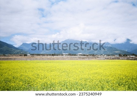 Brown Avenue, Taitung, Taiwan, taken by film roll Royalty-Free Stock Photo #2375240949