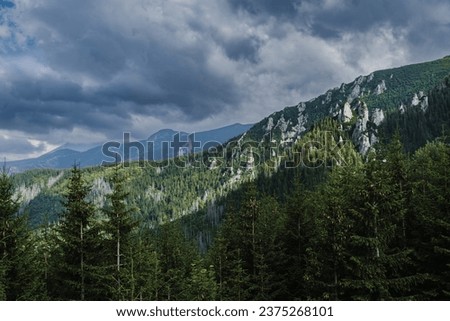 Mountain forested landscape in Zakopane Tatras, photo in summer, the sky is covered with clouds. High quality photo