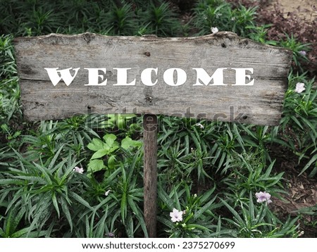 Rectangular wooden sign with white letters. "Welcome" installed on a pole inside the garden. A welcome sign is posted in a garden planted with pink-flowered Mexican Bluebell trees.