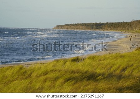 The Darß is the middle part of the Fischland-Darß-Zingst peninsula, which lies on the southern Baltic Sea coast near Ribnitz-Damgarten in Mecklenburg-Western Pomerania, Germany.