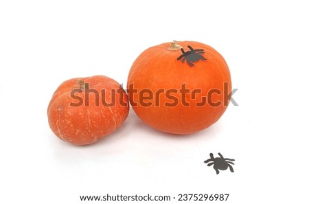 Halloween concept. Cartoon fresh pumpkin with funny facial expression with black paper spiders around on a white background. 