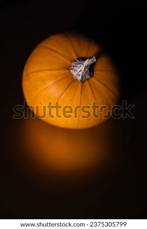 beautiful Halloween pumpkin with a golden shadow