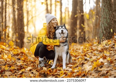 Beautiful young woman in a yellow coat walks in an autumn park with her pet husky. A pet owner spends time with her dog. Concept of fun, entertainment. Royalty-Free Stock Photo #2375306097