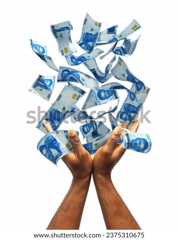 Nigerian naira notes falling in black male hands isolated on white background. 3d rendered banknotes. Catching money
