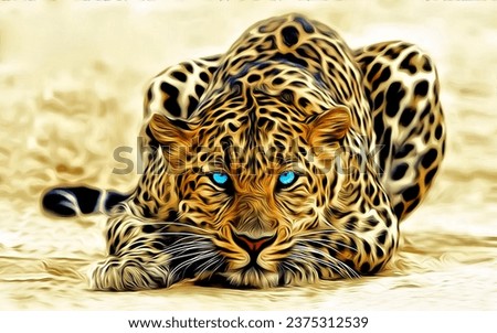Cheetah pictures, the most beautiful pictures of the leopard, with some information about it