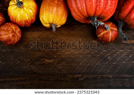 harvest,thanksgiving,halloween copy space banner.Pumpkin on weed background