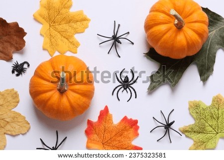 Orange Halloween pumpkin on white background, holiday decoration