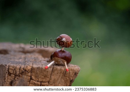 Funny chestnut duck animal with cute face on natural background stump, traditional fall autumnal handcraft with children